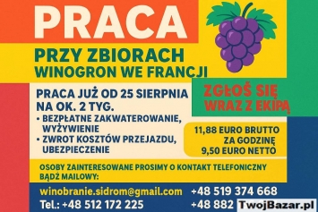 WINOBRANIE FRANCJA